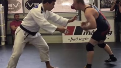 Understanding Strengths and Weaknesses of the Major Grappling Arts