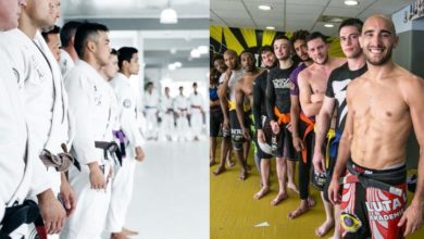 What Are The Main Stylistic Differences Between BJJ & Luta Livre