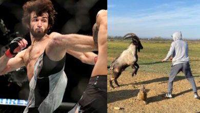 Zabit MagomedSharipov Spars with a Goat To Keep His Skills Sharp