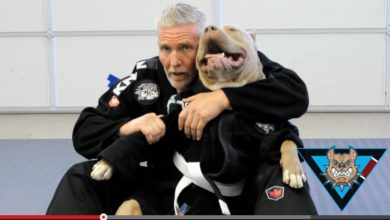 Funny Video of BJJ Practitioner Grappling with Pitbull Draws Hateful Comments from Non Grapplers