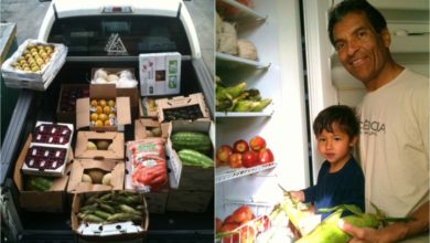 5 Essential Vegetarian Diet Facts For Grapplers To Consider