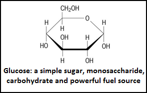 frontière de glucose