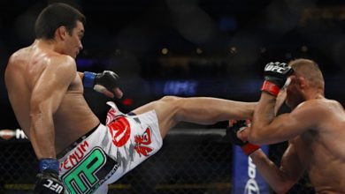 Top 5 Head Kick KO’s In MMA History