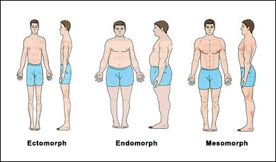 Somatotype_Models