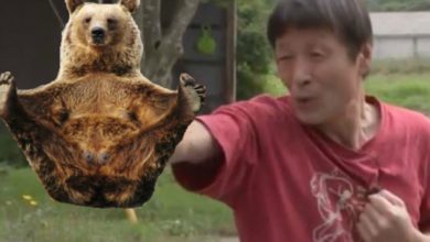 Japan: 63 yr Old Fights Off Attacking Bear Using Karate