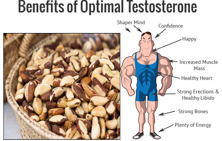 Noix du Brésil - La meilleure façon d'augmenter votre testostérone de manière naturelle