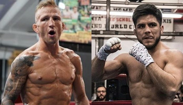 TJ Dillashaw, Henry Cejudo