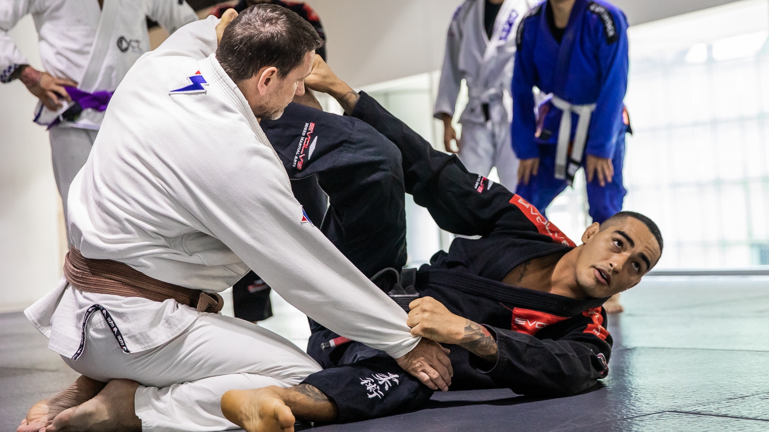 garde d'araignée grappling bjj