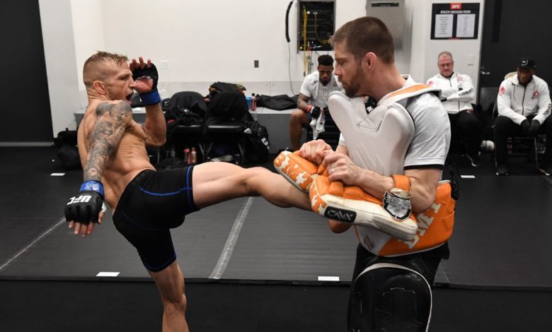 Vidéo: TJ Dillashaw publie un bref clip de combat avant le retour de l'UFC