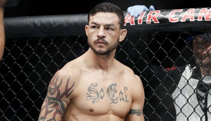 Cub Swanson, Brian Stann