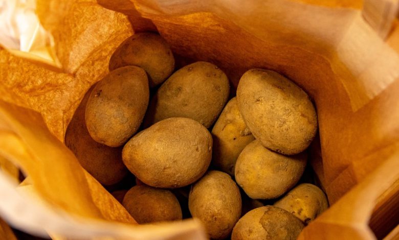 Ottman Azaitar a tout risqué pour un sac de patates, dit le directeur