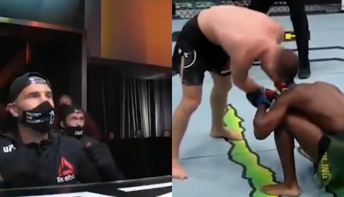 Petr Yan, Aljamain Sterling 