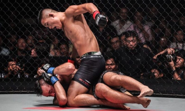 The Complete Guide To Ground And Pound