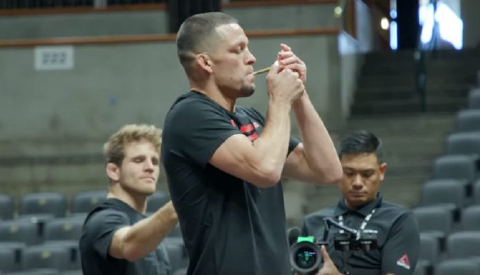 Nate Diaz, UFC