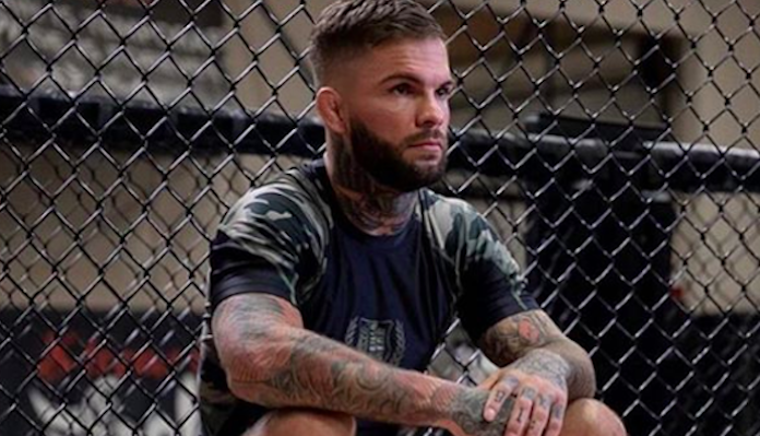 Cody Garbrandt, classement UFC