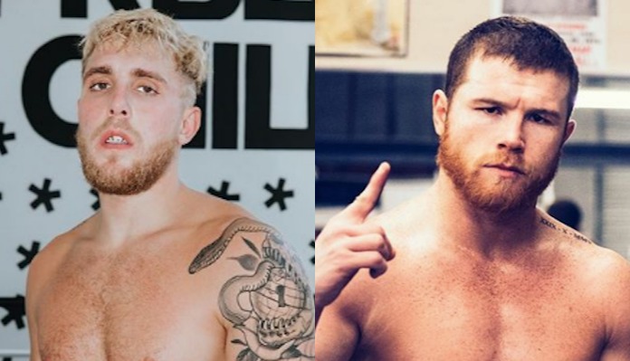 Jake Paul, Canelo Alvarez