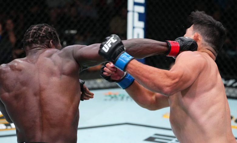 Faits saillants de la vidéo de l'UFC Vegas 34: Jared Cannonier laisse tomber Kelvin Gastelum dans la victoire par décision