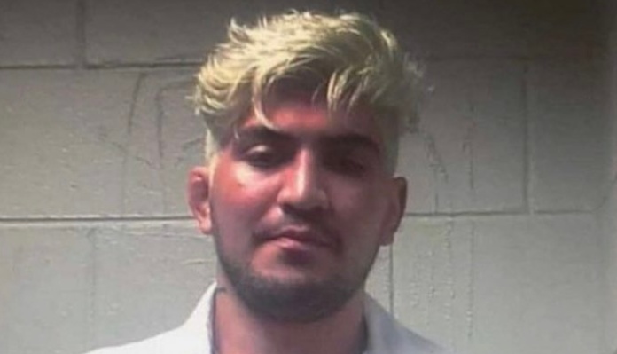 Dillon Danis, arrêté, Bellator