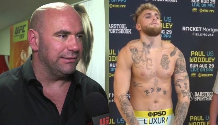 Jake Paul Publie Dana White Diss Track Sur Youtube Vidéo Mma Center 