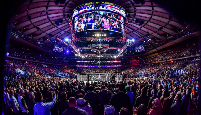 UFC Octagon,