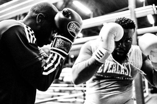 All You Need to Know About Boxing According to Boxing Bookies