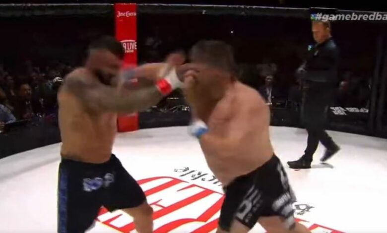 Roy Nelson, KO, Bare Knuckle, Gamebred FC