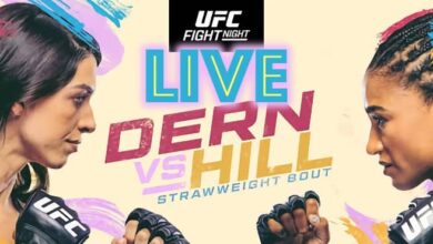 UFC Vegas 73 Live Results