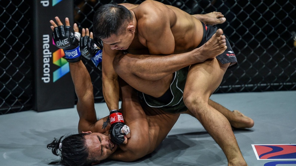 eko onefc