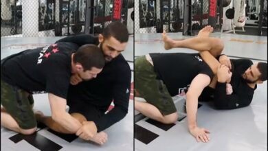 Firas Zahabi Shows A Highly Effective Triangle Choke Setup From Butterfly Guard