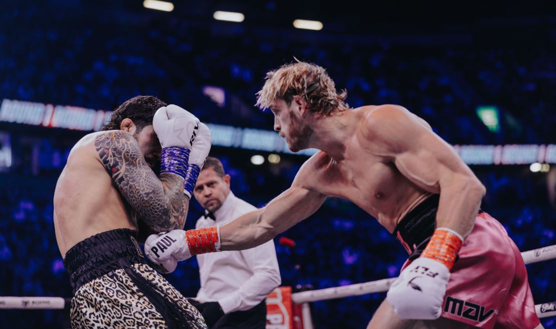 Logan Paul, Dillon Danis, Boxe