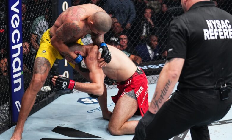 Alex Pereira won at UFC 295