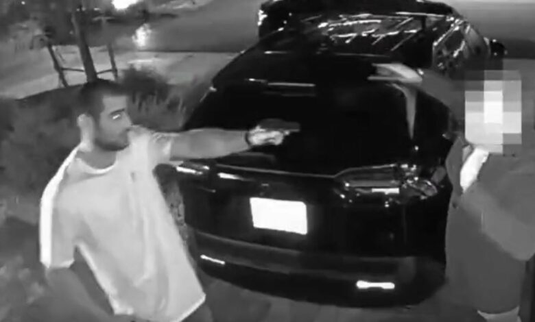 Sean Strickland, Gun, Car Thief, UFC