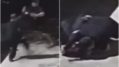 Former MMA Fighter Javier Baez Takes Down & Arm Triangles Knife-Wielding Attacker