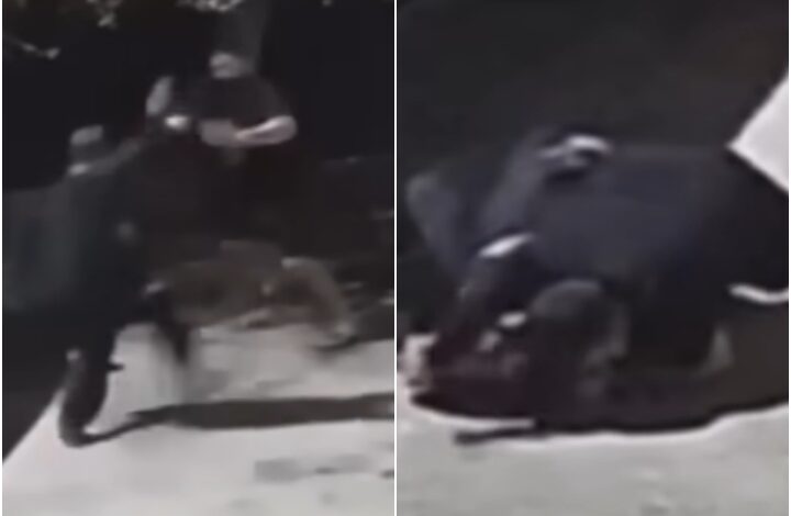 Former MMA Fighter Javier Baez Takes Down & Arm Triangles Knife-Wielding Attacker