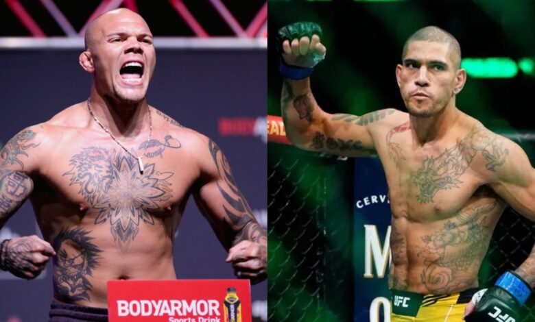 Anthony Smith and Alex Pereira