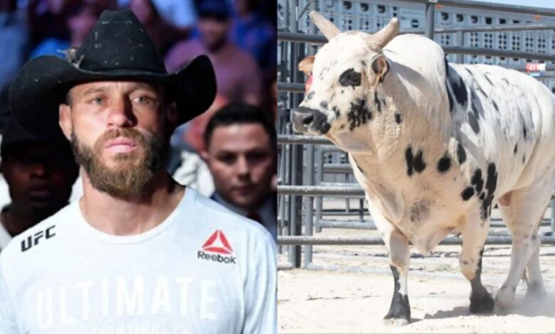 Dana White, Bull, Twisted Steel, Donald Cerrone