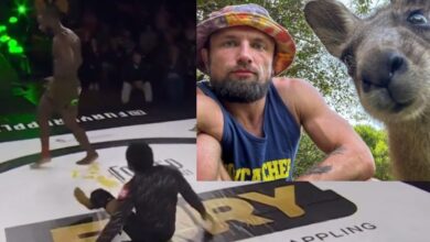 Aljamain Sterling Reacts to Craig Jones Justification of Guard Pulling in Grappling Competitions