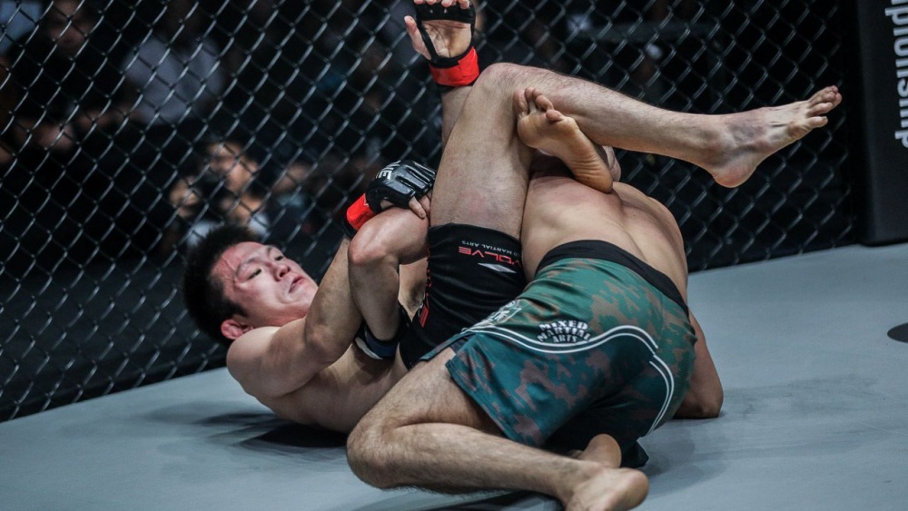Triangle Shinya-Aoki