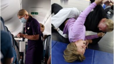Female flight attendant fights off a male attacker with Jiu-Jitsu techniques