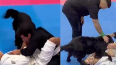 [WATCH] Dog Comes To His Owner Mid-Match At BJJ Competition