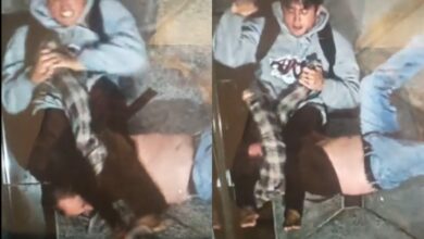 [WATCH] Guy In ADCC Hoodie Breaks Drunk Guy’s Arm With Armbar