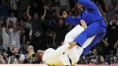 Georgian Judoka Suspended For Kicking Teddy Riner in Groin