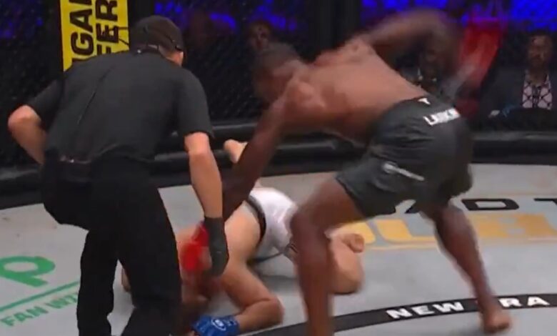 Lorenz Larkin