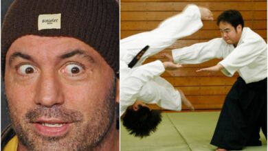 Aikido Master Develops Anti-Takedown System
