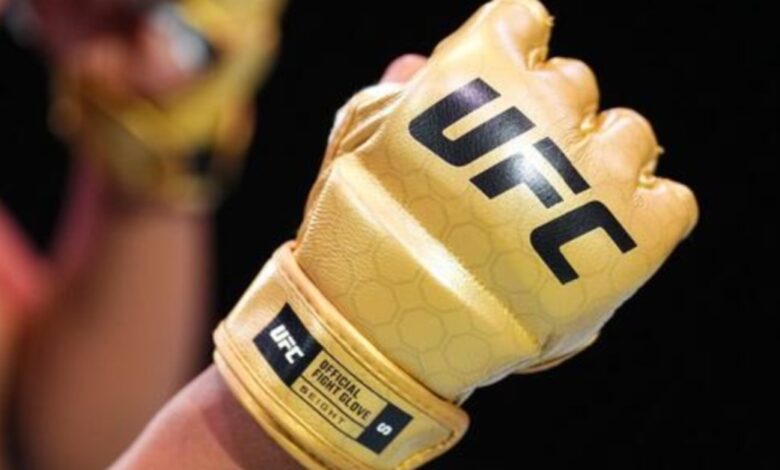 UFC gloves