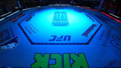 UFC Octagon Fight Night