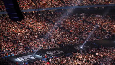 UFC crowd