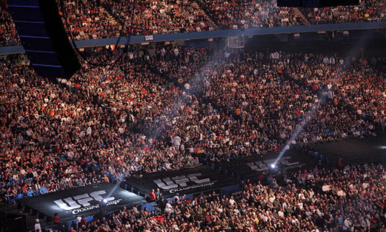 UFC crowd