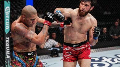Alex Pereira vs Magomed Ankalaev