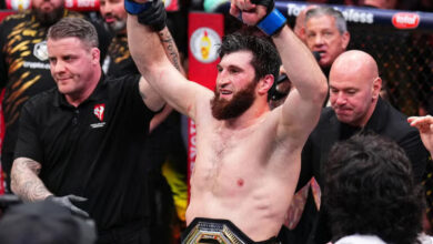 Magomed Ankalaev UFC 313